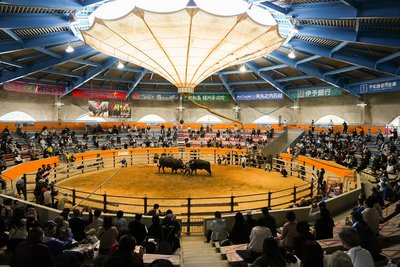 🏟️ 우와지마 시영 투우장 (우와지마시 에이 토-규-조-) 이미지 2